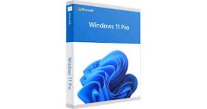 MS Win 11 Pro Product KEY GLOBAL